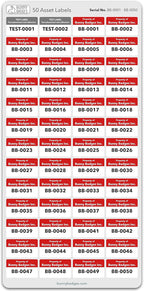 Custom Asset Tags - Asset Labels with Sequential Numbers - 1.2” x 0.7” (100-5000 Labels)