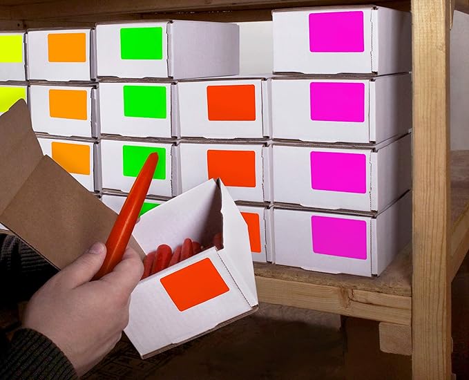 ChromaLabel 2 x 3 Inch Fluorescent Color Code Labels, 5 Assorted Colors, 250 Labels per Box