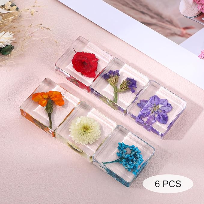6Pcs Pressed Flower Paper Weights, Real Flower Resin Crafts, Pattern Weights, Paper Weights Decorative,Pressed Flower Ornament,Paper Weights for Office Desk,Specimen Collection for Science Educational