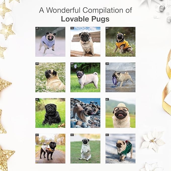 RED EMBER Pugs 2026 Wall Calendar 12 Month | 12" x 24" Open | Thick & Sturdy Paper | Holiday Gift | Cute Puppy Dog Calendar 2026