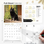 RED EMBER Schipperkes 2026 Wall Calendar 12 Month | 12" x 24" Open | Thick & Sturdy Paper | Holiday Gift | Cute Puppy Dog Calendar 2026