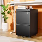 INTERGREAT 2 Drawer File Cabinet with Wheels, Metal Filling Cabinet with Lock, Locking Office Mobile Cabinet with Wheels for Legal/Letter Size, Under Desk, Easy Assemble, Black