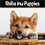 MICASA PRESS Shiba Inu Puppies 2026 Wall Calendar 12 Month | 12" x 24" Open | Thick & Sturdy Paper | Holiday Gift | Cute Puppy Dog Calendar 2026