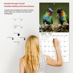 2026 Wall Calendar,Calendar 2026, November 2025 - December 2026, Wall Calendar Hummingbird, 12" x 24" Opened,Full Page Months Thick & Sturdy Paper for Calendar Organizing & Planning