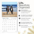 RED EMBER Boxers 2026 Wall Calendar 12 Month | 12" x 24" Open | Thick & Sturdy Paper | Holiday Gift | Cute Puppy Dog Calendar 2026