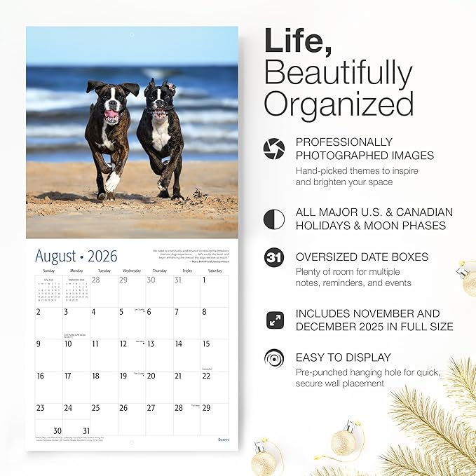 RED EMBER Boxers 2026 Wall Calendar 12 Month | 12" x 24" Open | Thick & Sturdy Paper | Holiday Gift | Cute Puppy Dog Calendar 2026
