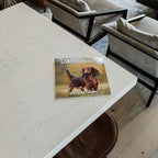 2026 Dachshunds Weiner Dog Monthly Wall Calendar | Wiener Dogs Calendar September 2025 - December 2026