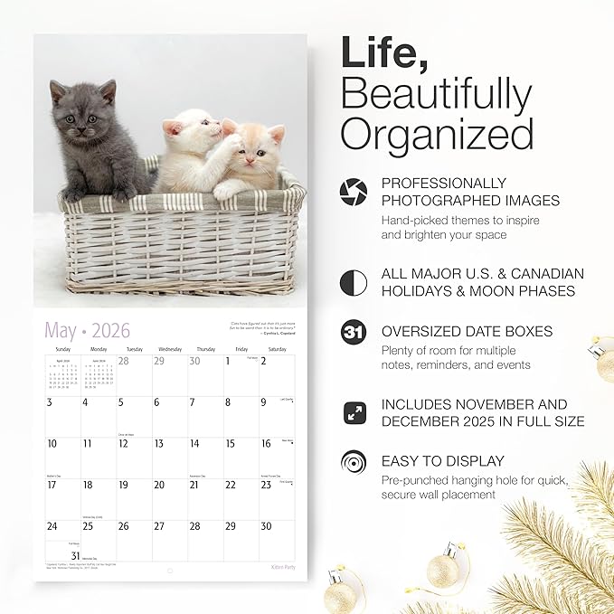RED EMBER Kitten Party 2026 Wall Calendar 12 Month | 12" x 24" Open | Thick & Sturdy Paper | Holiday Gift | Cute Kitten Cat Calendar 2026