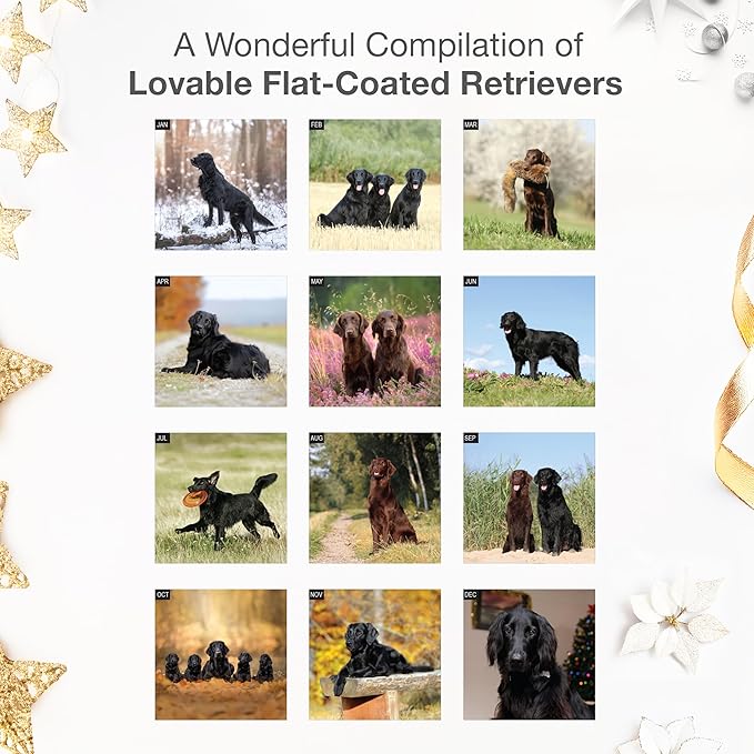 RED EMBER Flat-Coated Retrievers 2026 Wall Calendar 12 Month | 12" x 24" Open | Thick & Sturdy Paper | Holiday Gift | Cute Puppy Dog Calendar 2026