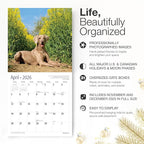 RED EMBER Weimaraners 2026 Wall Calendar 12 Month | 12" x 24" Open | Thick & Sturdy Paper | Holiday Gift | Cute Puppy Dog Calendar 2026