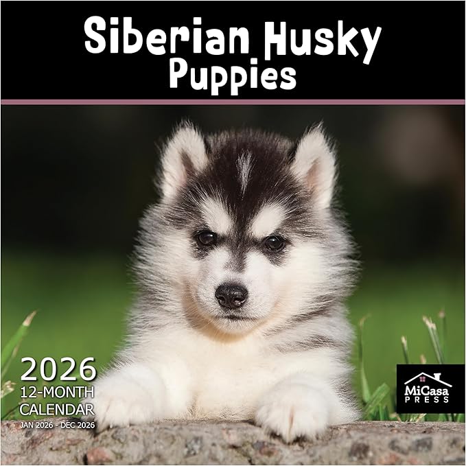 MICASA PRESS Siberian Husky Puppies 2026 Wall Calendar 12 Month | 12" x 24" Open | Thick & Sturdy Paper | Holiday Gift | Cute Puppy Dog Calendar 2026