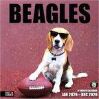 RED EMBER Beagles 2026 Wall Calendar 12 Month | 12" x 24" Open | Thick & Sturdy Paper | Holiday Gift | Cute Puppy Dog Calendar 2026
