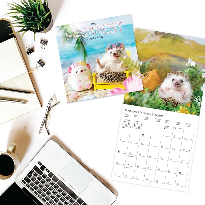Graphique 2026 Happiest Hedgehogs Wall Calendar | 12” x 12” | Thick Paper | Home & Office Organizer | Large Monthly Grid | 3 Languages & Marked Holidays | 4 Month Preview Page for 2027