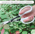 LOOPSEED Precision Gardening Scissors Plant Trimming Pruning Shears Garden Pruners for Orchid Bonsai Hydroponic Flower Clipper Garden Snip 8 Inch Long