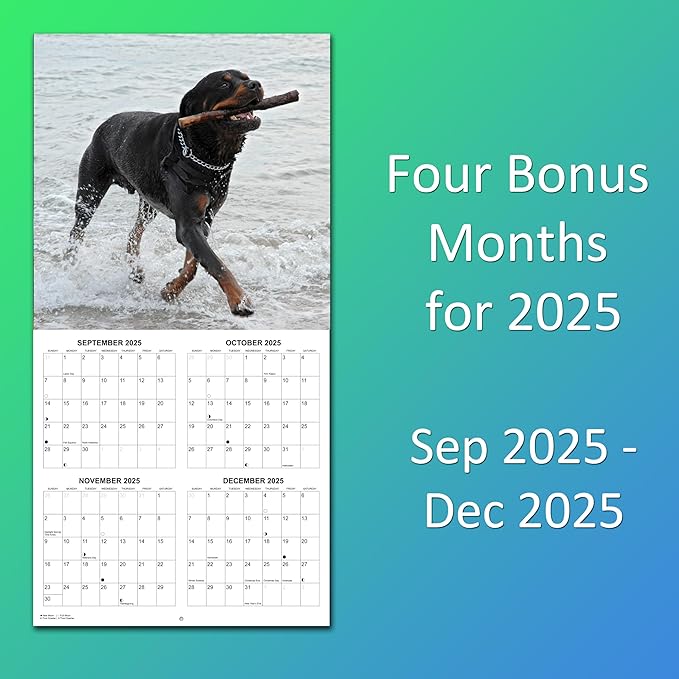 2026 Rottweilers Monthly Wall Calendar | Dogs Calendar September 2025 - December 2026