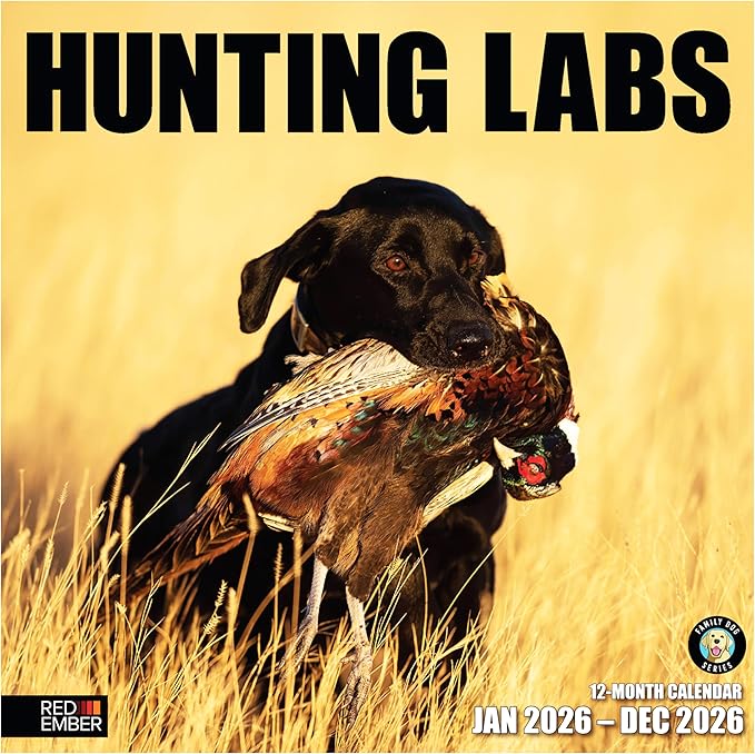 RED EMBER Hunting Labs 2026 Wall Calendar 12 Month | 12" x 24" Open | Thick & Sturdy Paper | Holiday Gift | Sport Labrador Retriever Puppy Dog Calendar 2026