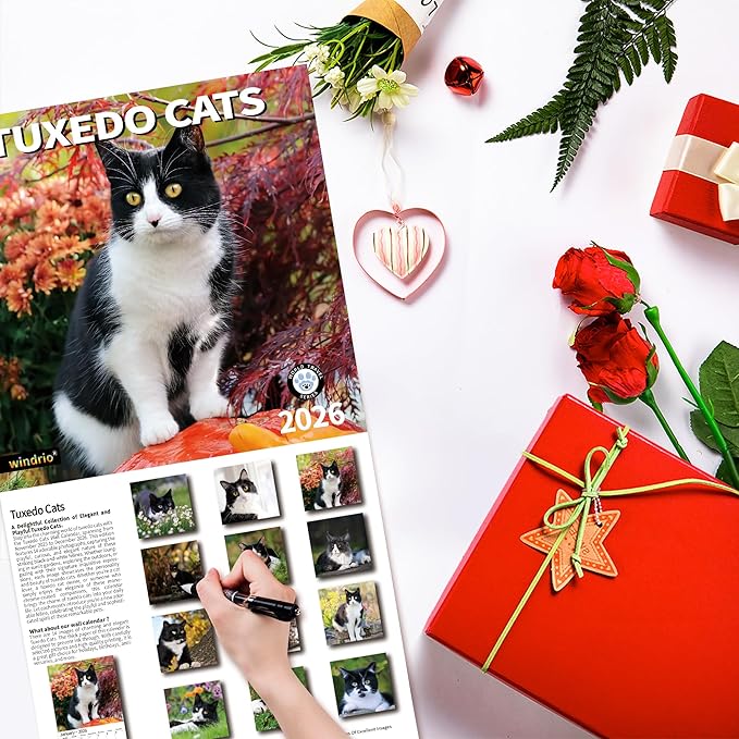 2026 Wall Calendar,Calendar 2026, November 2025 - December 2026, Wall Calendar Tuxedo Cats, 12" x 24" Opened,Full Page Months Thick & Sturdy Paper for Calendar Organizing & Planning