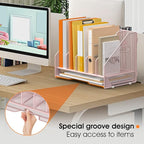 OrgMate Desk File Folder Holder Organizer-5 Vertical Compartments Racks and Paper Letter Tray,Mesh Magazine File Holder Sorter,Desktop Accessories & Workspace Organizers for Home,Office,School-Pink