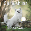 2026 Chihuahuas Monthly Wall Calendar | Cute Dogs Calendar September 2025 - December 2026