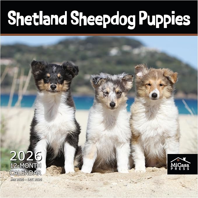 MICASA PRESS Shetland Sheepdog Puppies 2026 Wall Calendar 12 Month | 12" x 24" Open | Thick & Sturdy Paper | Holiday Gift | Cute Sheltie Puppy Dog Calendar 2026