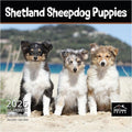 MICASA PRESS Shetland Sheepdog Puppies 2026 Wall Calendar 12 Month | 12" x 24" Open | Thick & Sturdy Paper | Holiday Gift | Cute Sheltie Puppy Dog Calendar 2026
