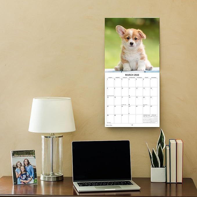 2026 Corgis Monthly Wall Calendar | Cute Dog Calendar September 2025 - December 2026