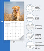 2026 Golden Retrievers Monthly Wall Calendar | Cute Dogs Calendar September 2025 - December 2026