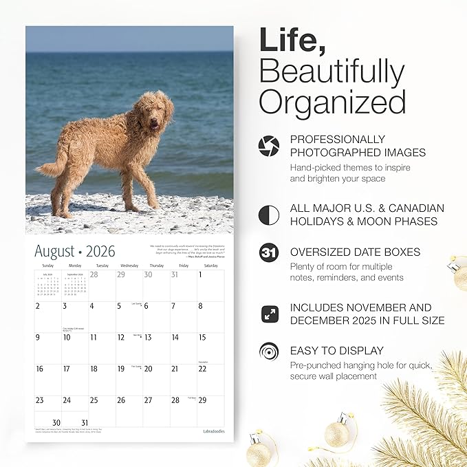 RED EMBER Labradoodles 2026 Wall Calendar 12 Month | 12" x 24" Open | Thick & Sturdy Paper | Holiday Gift | Cute Labrador Retriever Poodle Puppy Dog Calendar 2026