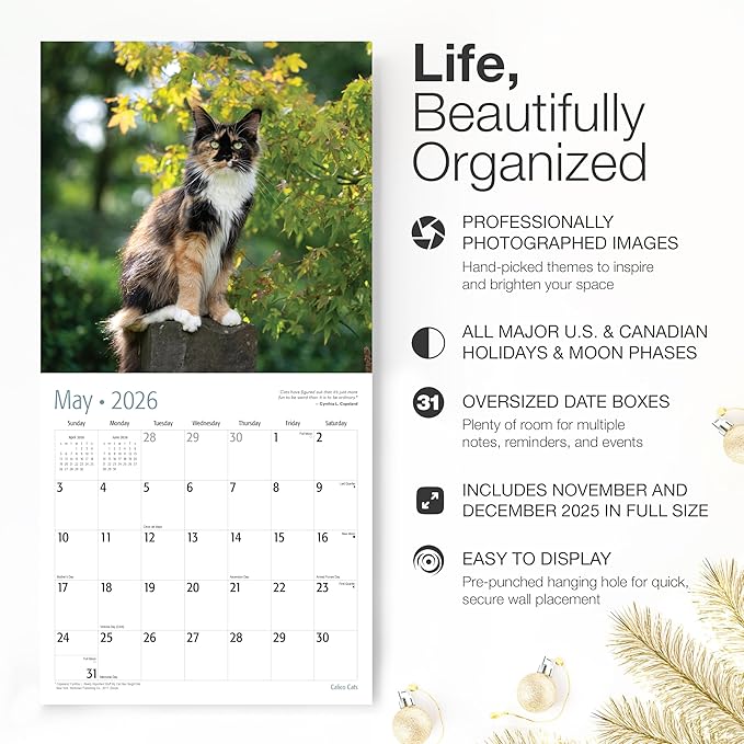 RED EMBER Calico Cats 2026 Wall Calendar 12 Month | 12" x 24" Open | Thick & Sturdy Paper | Holiday Gift | Cute Kitten Cat Calendar 2026