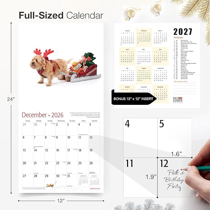 RED EMBER Norfolk Terriers 2026 Wall Calendar 12 Month | 12" x 24" Open | Thick & Sturdy Paper | Holiday Gift | Cute Puppy Dog Calendar 2026