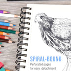 U.S. Art Supply 11"x14" Mixed Media Sketchbook, 2 Pack (60 Sheets), 98 lb (160 GSM) - Spiral-Bound Pad with Perforated Acid-Free Paper - Artist Sketch Book for Drawing, Painting, Watercolor