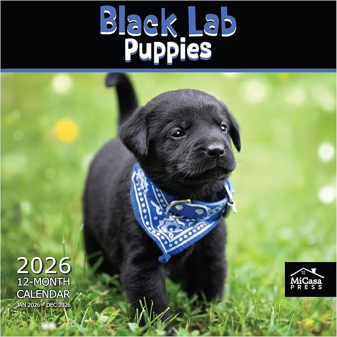 MICASA PRESS Black Lab Puppies 2026 Wall Calendar 12 Month | 12" x 24" Open | Thick & Sturdy Paper | Holiday Gift | Cute Labrador Retriever Puppy Dog Calendar 2026