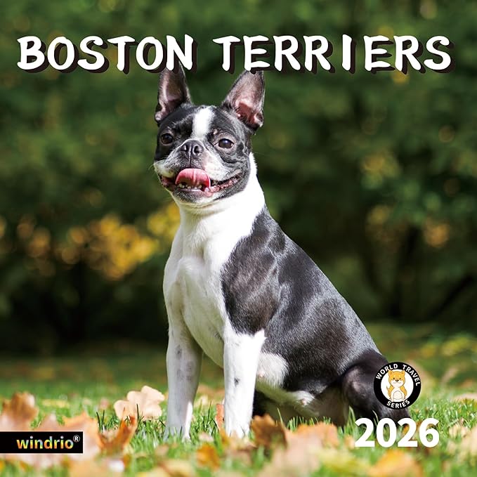 2026 Wall Calendar,Calendar 2026, November 2025 - December 2026, Wall Calendar Boston Terriers, 12" x 24" Opened,Full Page Months Thick & Sturdy Paper for Calendar Organizing & Planning