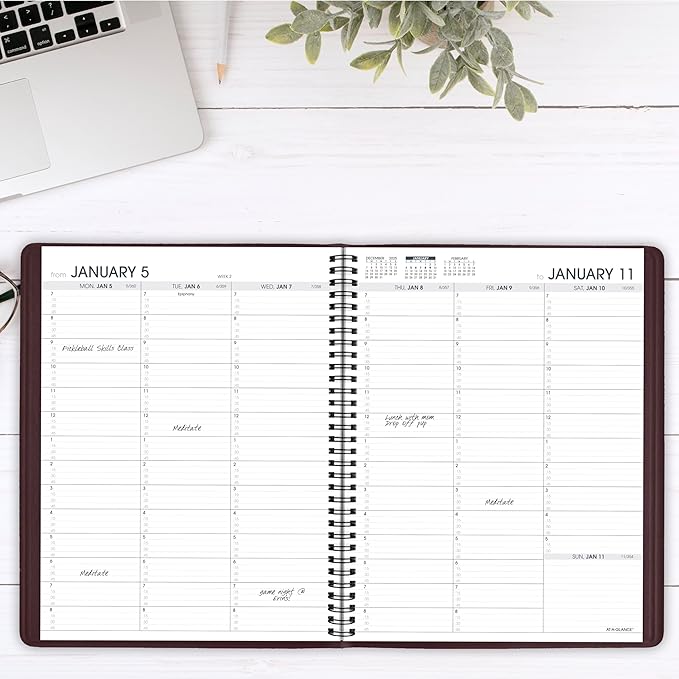 AT-A-GLANCE 2026 Appointment Book Planner, Weekly, 8-1/4" x 11", Large, Winestone (709505026)