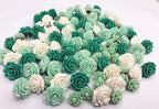 24Pcs Decorative Pushpins,Cork Board Tacks,Bulletin Board Tacks,Thumb Tack Decorative for CorkBoard, Office Organization or Home, Green
