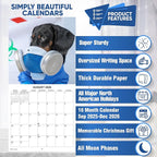 2026 Dachshunds at Work Weiner Dog Monthly Wall Calendar | Funny Wiener Dog Calendar September 2025 - December 2026
