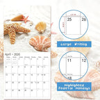 2026 Wall Calendar,Calendar 2026, November 2025 - December 2026, Wall Calendar Seashells, 12" x 24" Opened,Full Page Months Thick & Sturdy Paper for Calendar Organizing & Planning