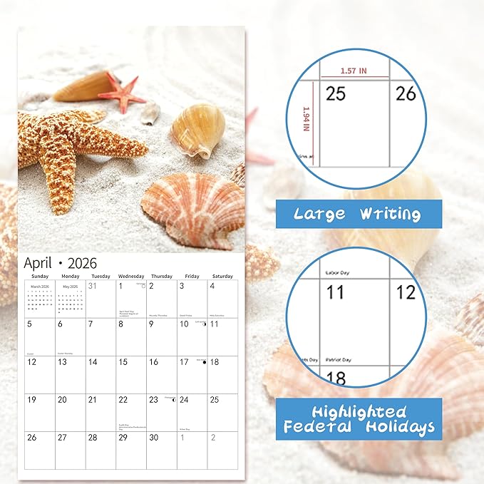2026 Wall Calendar,Calendar 2026, November 2025 - December 2026, Wall Calendar Seashells, 12" x 24" Opened,Full Page Months Thick & Sturdy Paper for Calendar Organizing & Planning