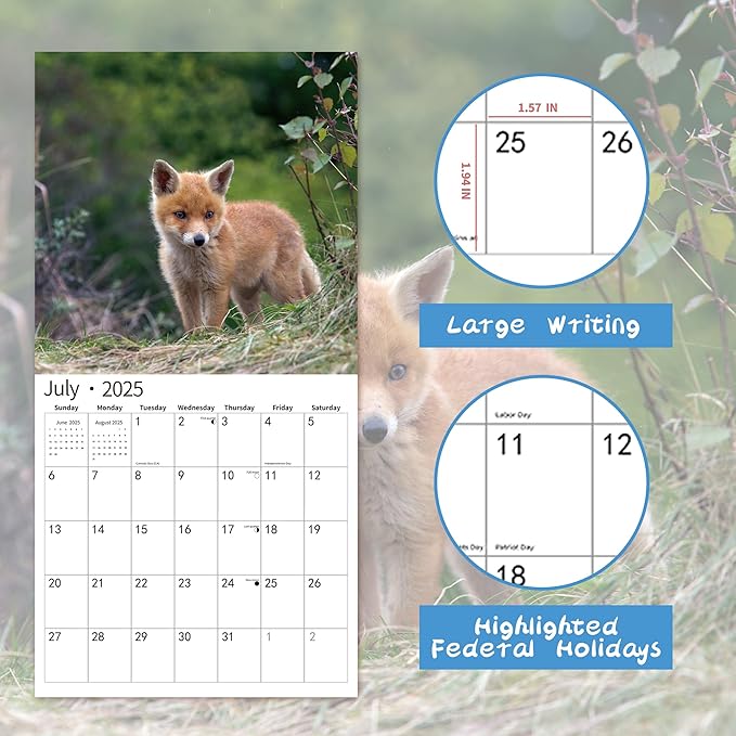 windrio 2026 Wall Calendar, Calendar 2026, July 2025 - December 2026, Wall Calendar Baby Foxes, 12" x 24" Opened,Full Page Months Thick & Sturdy Paper for Calendar Organizing & Planning