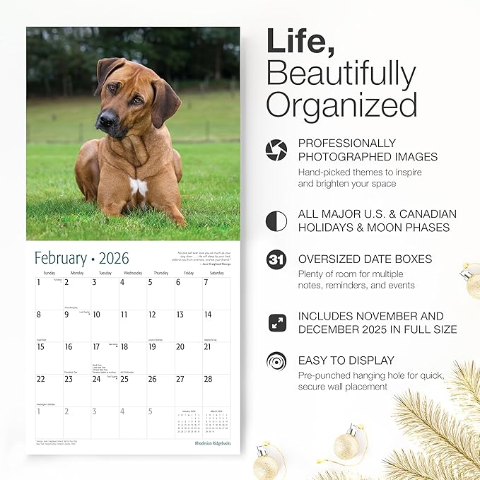 RED EMBER Rhodesian Ridgebacks 2026 Wall Calendar 12 Month | 12" x 24" Open | Thick & Sturdy Paper | Holiday Gift | Cute Puppy Dog Calendar 2026