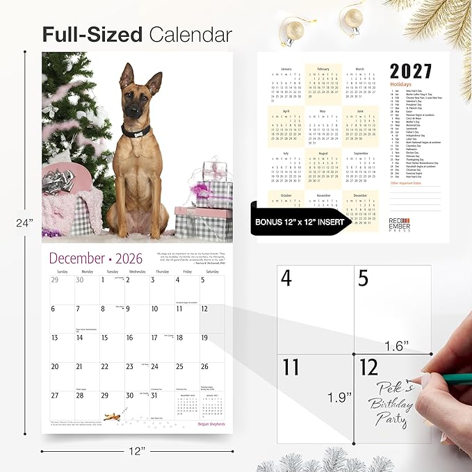 RED EMBER Belgian Shepherds 2026 Wall Calendar 12 Month | 12" x 24" Open | Thick & Sturdy Paper | Holiday Gift | Cute Puppy Dog Calendar 2026