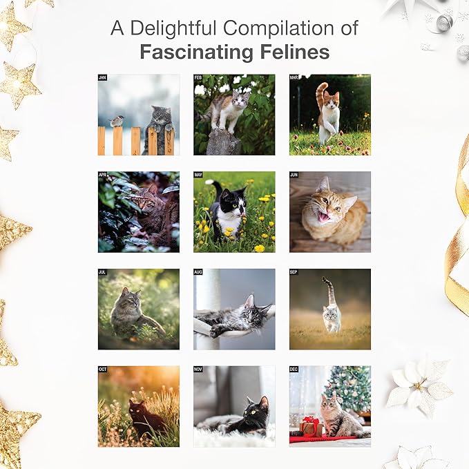 RED EMBER Cats 2026 Wall Calendar 12 Month | 12" x 24" Open | Thick & Sturdy Paper | Holiday Gift | Cute Kitten Cat Calendar 2026