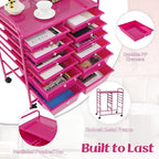 LDAILY 12 Drawer Rolling Storage Cart, Craft Cart Organizer on Wheels w/Metal Frame, Large Capacity & Smooth Drawer, Rolling Cart w/Drawers for Classroom, Office