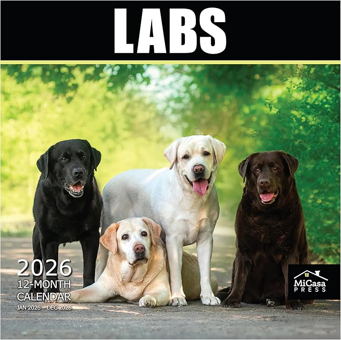 MICASA PRESS Labs 2026 Wall Calendar 12 Month | 12" x 24" Open | Thick & Sturdy Paper | Holiday Gift | Cute Labrador Retriever Puppy Dog Calendar 2026