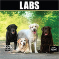 MICASA PRESS Labs 2026 Wall Calendar 12 Month | 12" x 24" Open | Thick & Sturdy Paper | Holiday Gift | Cute Labrador Retriever Puppy Dog Calendar 2026