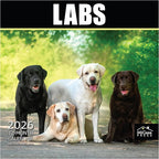 MICASA PRESS Labs 2026 Wall Calendar 12 Month | 12" x 24" Open | Thick & Sturdy Paper | Holiday Gift | Cute Labrador Retriever Puppy Dog Calendar 2026