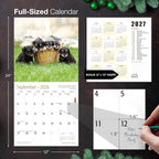 MICASA PRESS Miniature Schnauzer Puppies 2026 Wall Calendar 12 Month | 12" x 24" Open | Thick & Sturdy Paper | Holiday Gift | Cute Puppy Dog Calendar 2026