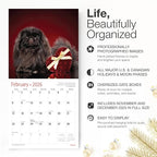 RED EMBER Pekingese 2026 Wall Calendar 12 Month | 12" x 24" Open | Thick & Sturdy Paper | Holiday Gift | Cute Puppy Dog Calendar 2026
