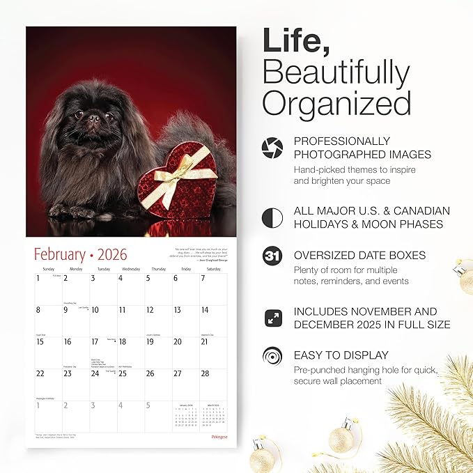 RED EMBER Pekingese 2026 Wall Calendar 12 Month | 12" x 24" Open | Thick & Sturdy Paper | Holiday Gift | Cute Puppy Dog Calendar 2026