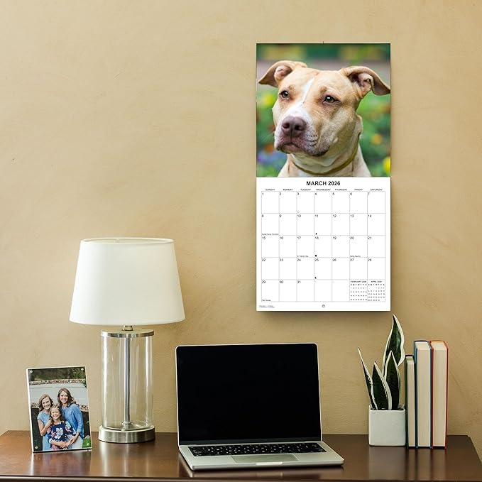 2026 Pit Bulls Monthly Wall Calendar | Pitbull Dog Calendar September 2025 - December 2026